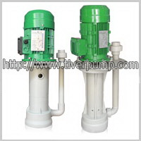 Extended vertical Submerged pump
